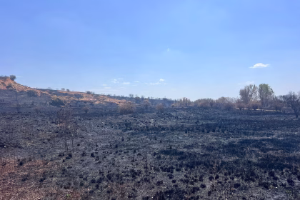 Zamora es una de las provincias españolas devastada por el fuego este verano. Foto: Coordinadora Rural Zamora