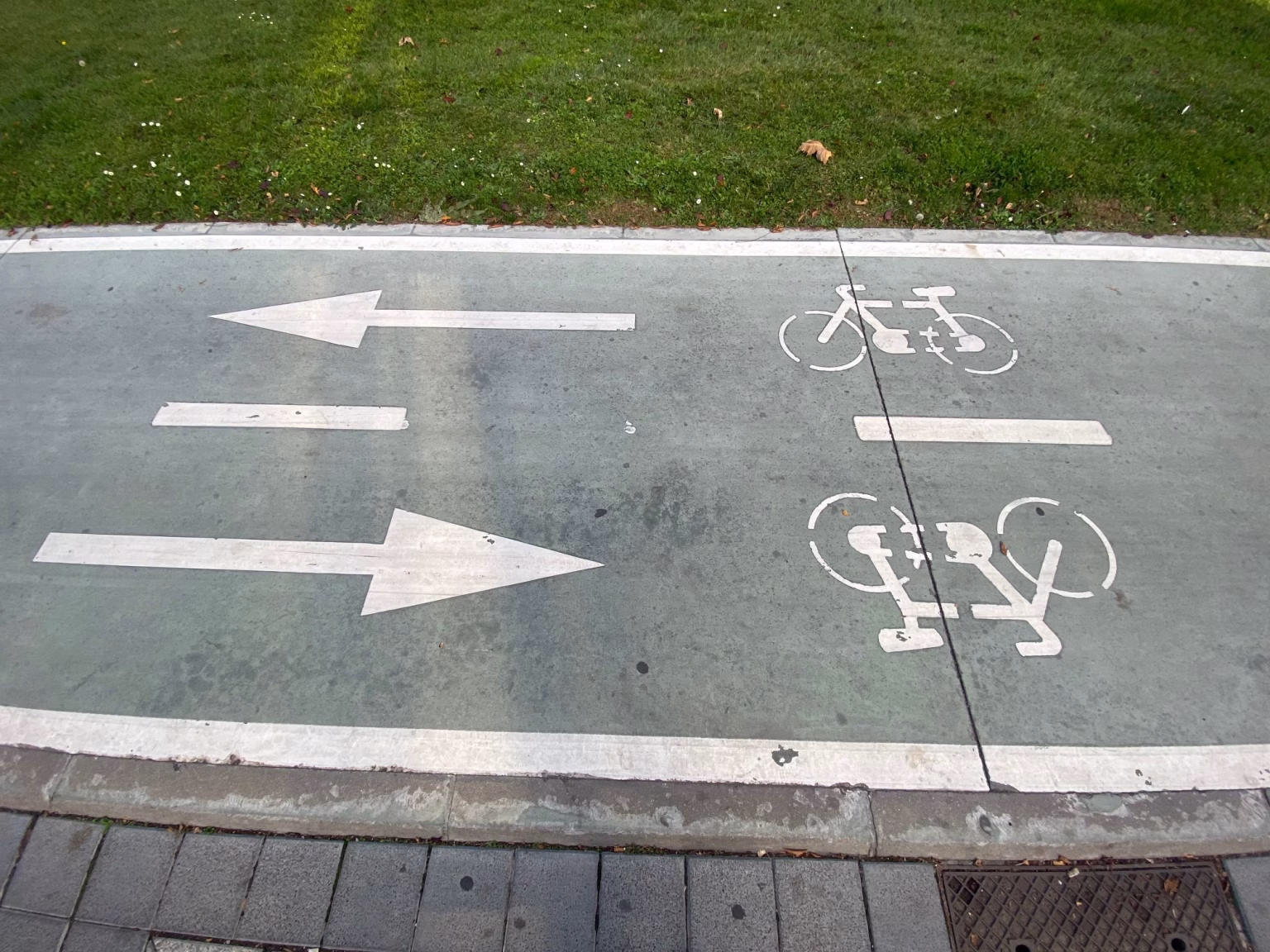 Una buena red de carriles bici es clave para el futuro de la movilidad sostenible en Valladolid. Foto: Social24Horas