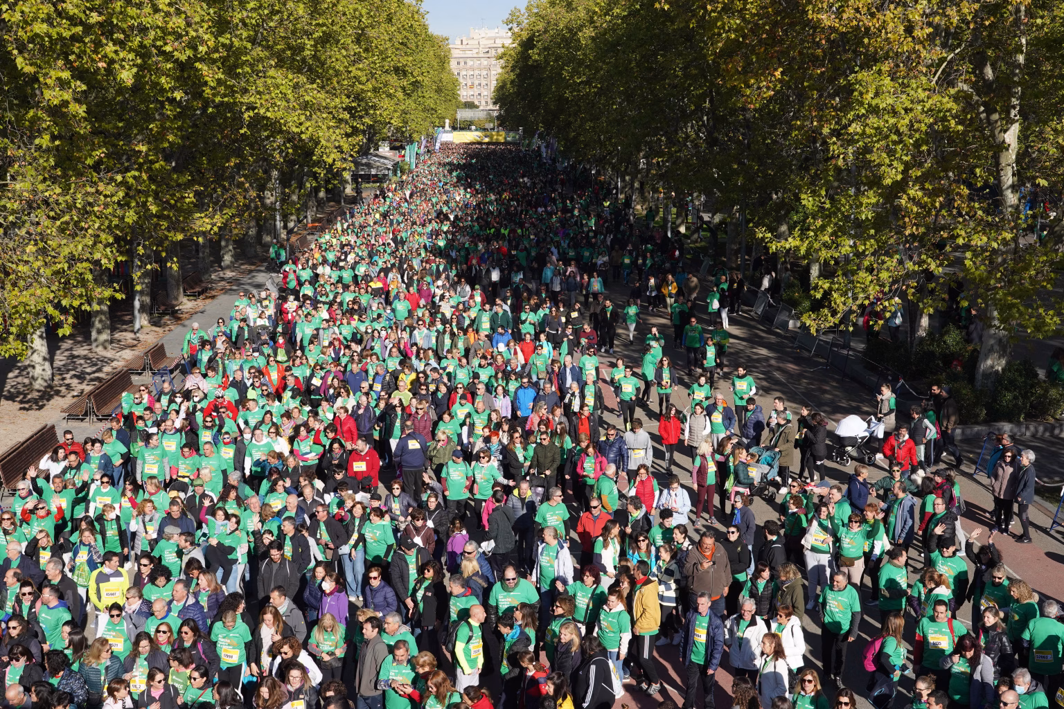 Entre todas las marchas que la AECC organiza por España, la de Valladolid es la más multitudinaria (más de 50.000 participantes). Foto: AECC Valladolid