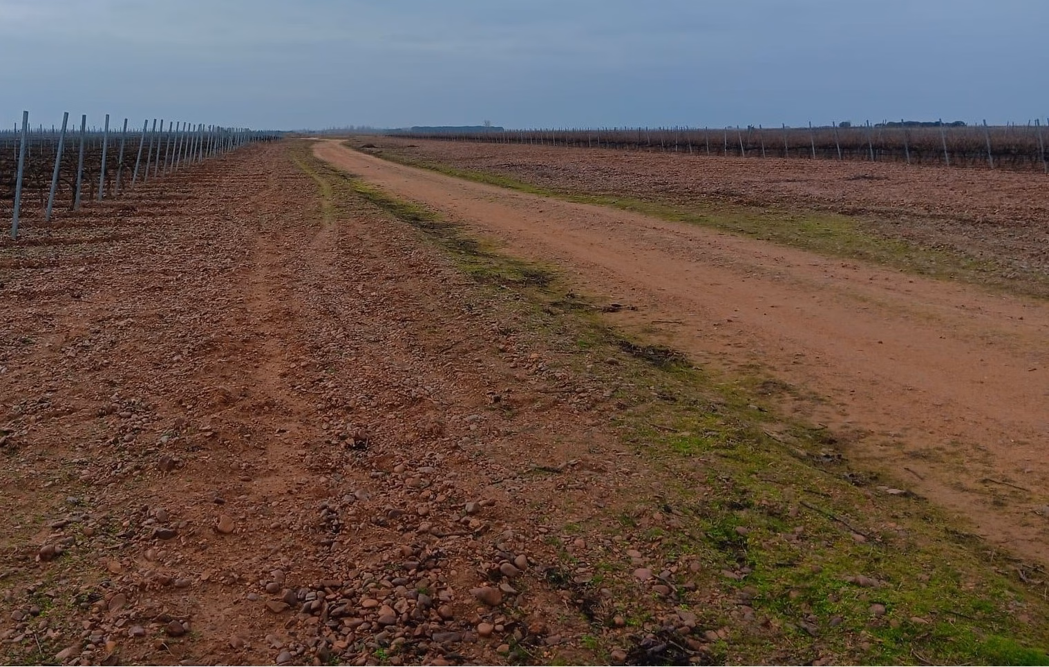 Inmediaciones de los terrenos donde está proyectada la planta de biometano de Melgar de Abajo. Foto: Plataforma Melgar de Abajo Saludable