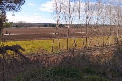 Aspecto actual de los terrenos donde irá parte de la gravera. Foto: Ecologistas en Acción Valladolid