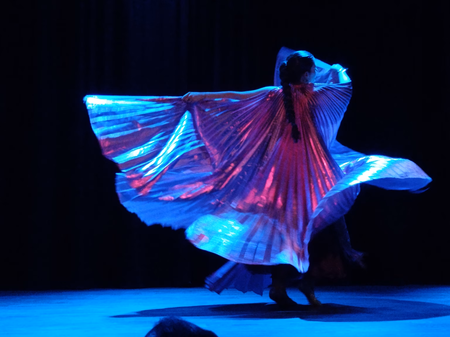 GALA Las Enfermedades Raras también bailan (Foto: Redacción León)