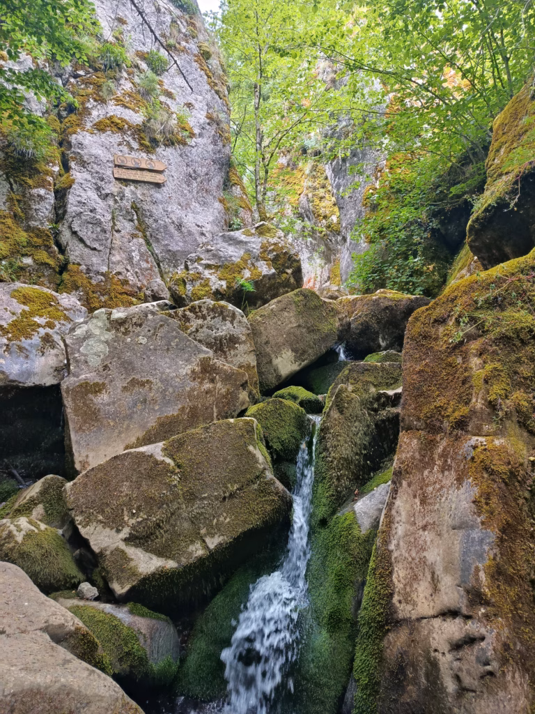 Cascada de la Boyariza (Arbás - León)
