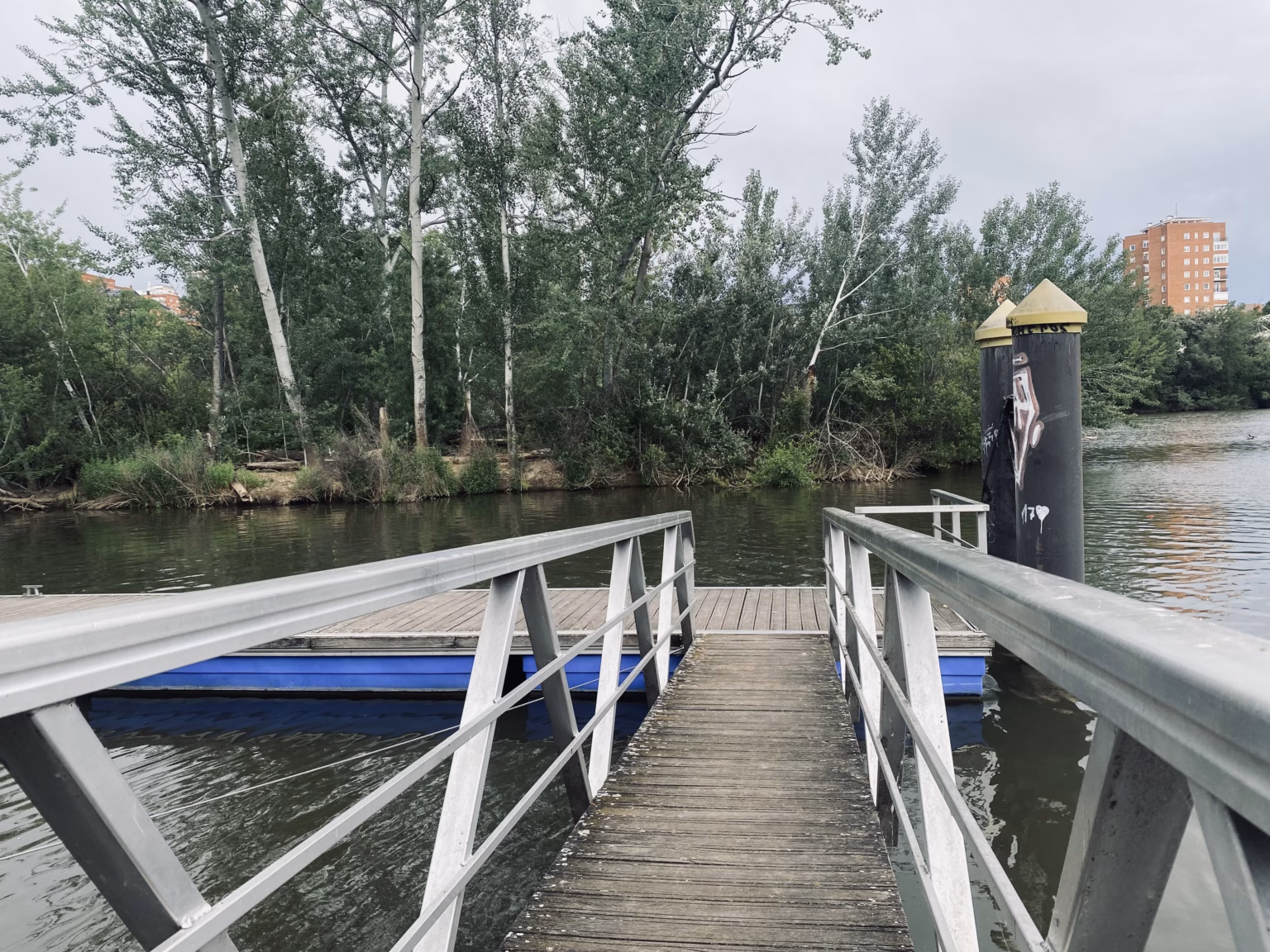 AMA El Pisuerga cuida cada sábado del río Pisuerga y sus riberas. Foto: Social24Horas