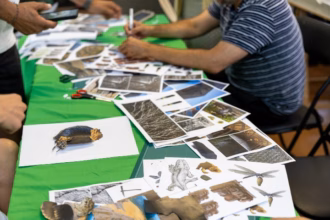 Fundación Cerezales Antonino y Cinia y el Instituto Leonés de Cultura (ILC) VI edición del programa de ayuda a artistas Nudo -Knot