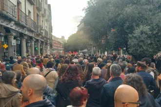 Manifestantes en el centro de Valladolid. Foto: S.F.L.